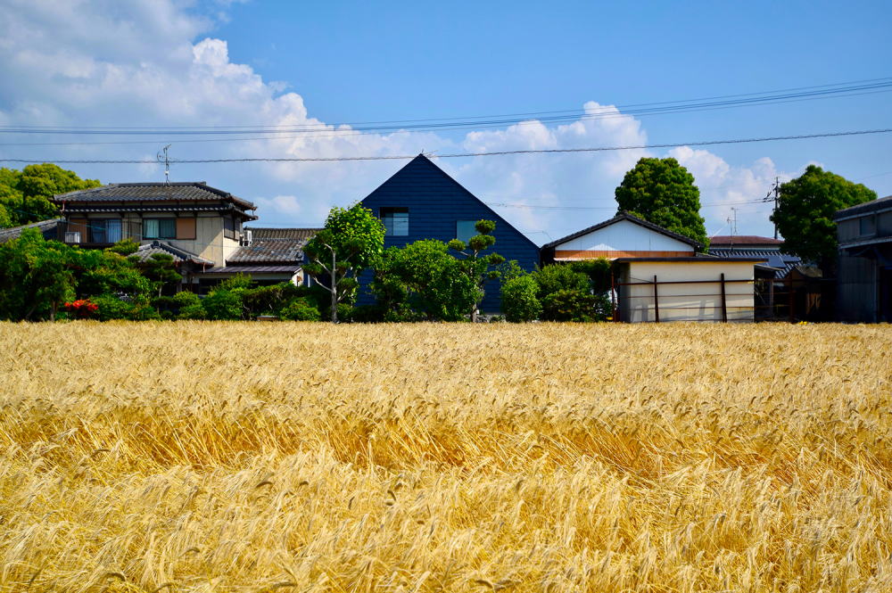 藍いろの家の外観イメージ03