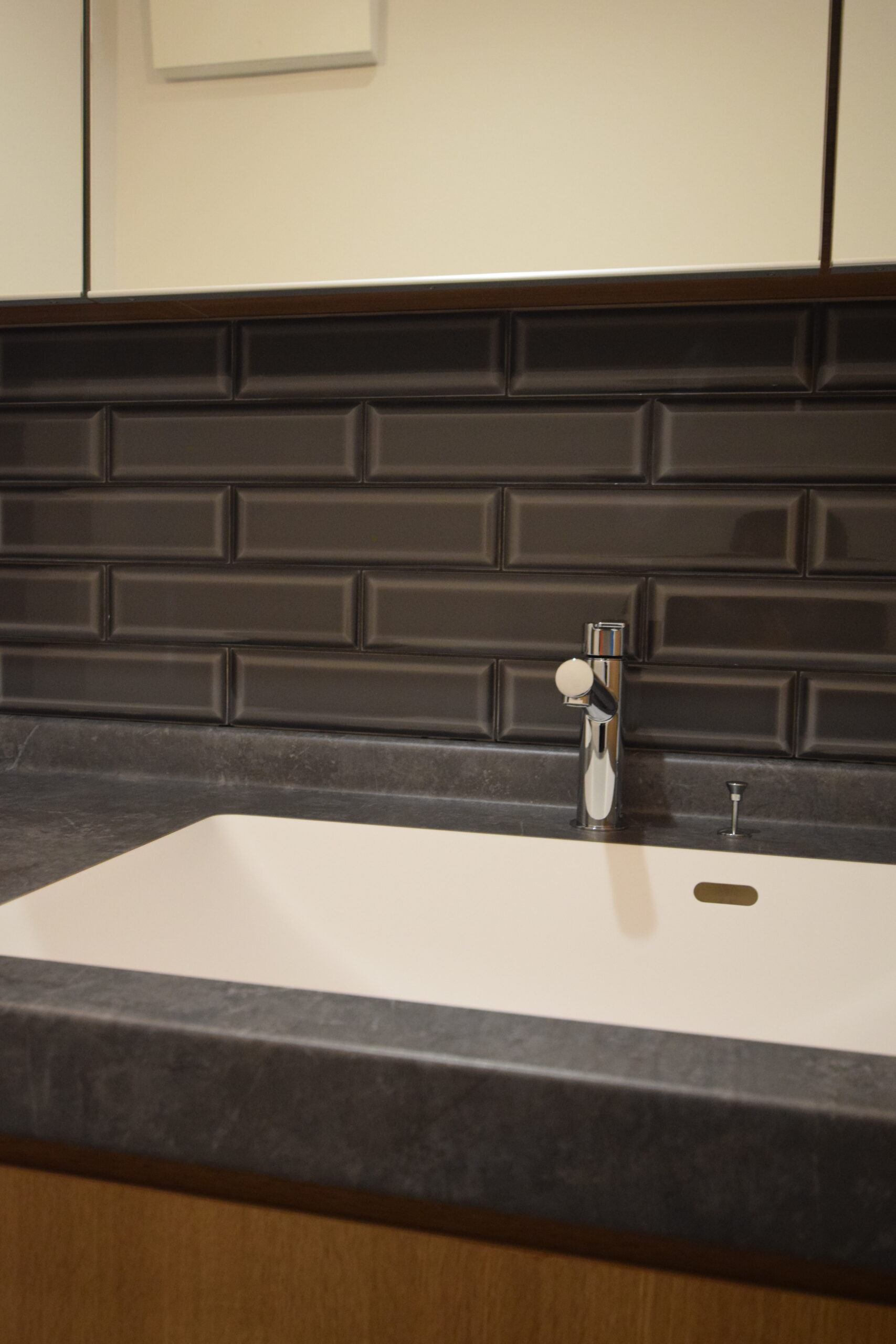 サイカイノイエの洗面化粧台イメージ02