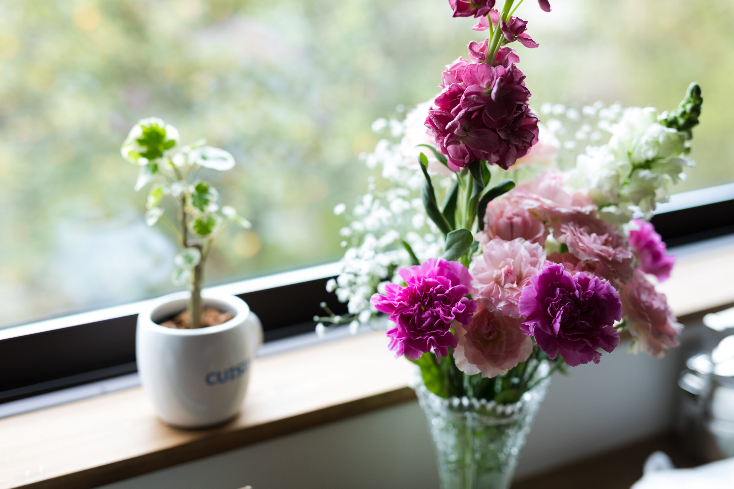 ヒカリノイエの暮らしの生活イメージ03