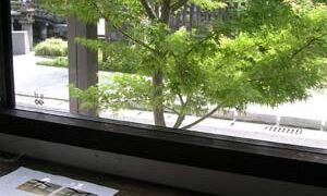 建物と緑