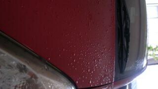 今日も雨