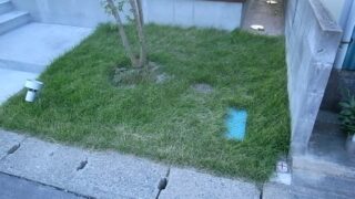 芝刈り最高
