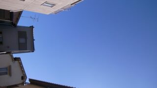 空が見える