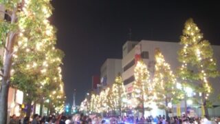 今年も、もう・・・