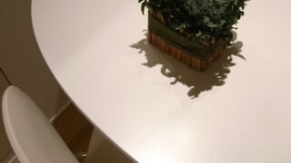 花が緑です