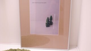 "Little Green"to save the earth !