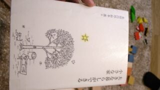 手の届く範囲