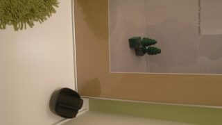 すみっこ