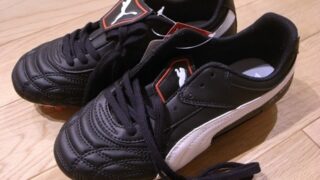 息子のスパイク