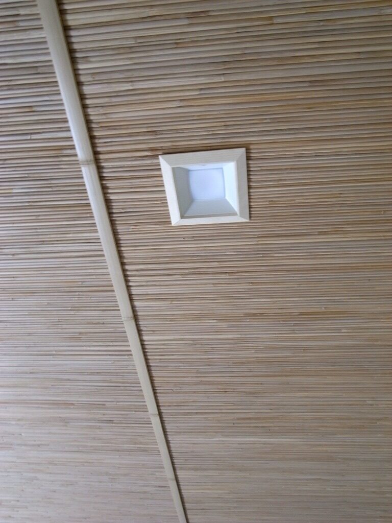 進化した光。