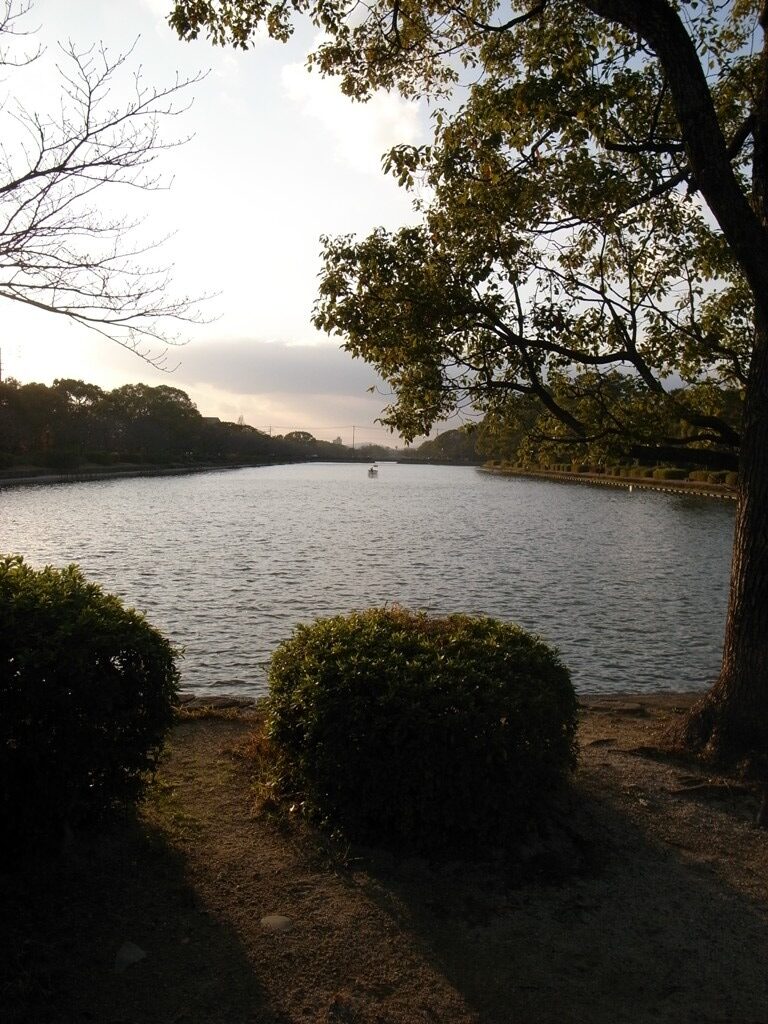 冬の散歩道。