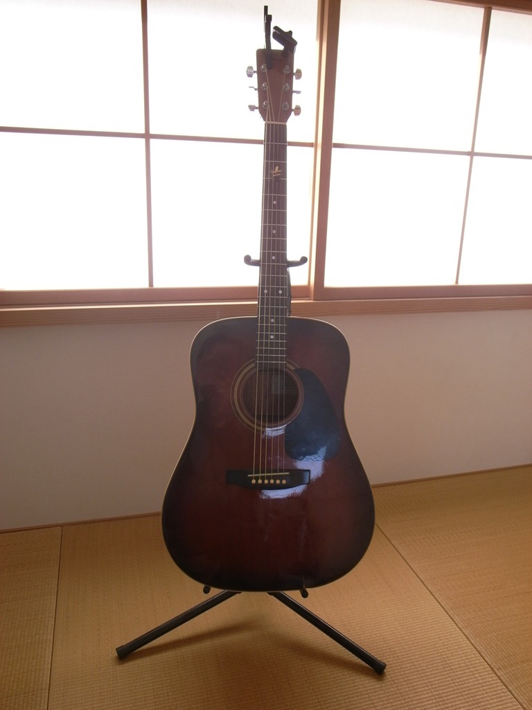 一本のギター。