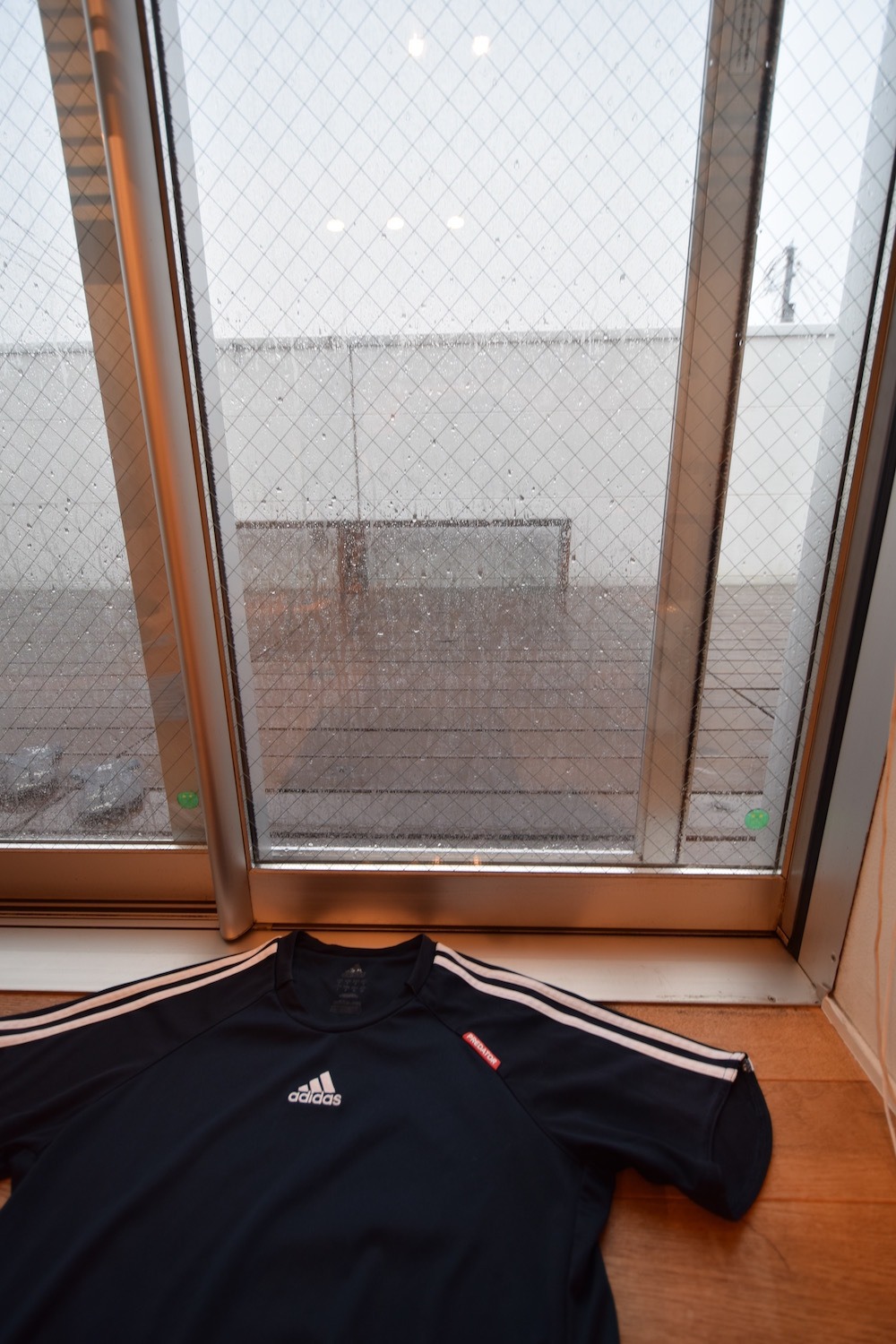 この雨にやられて。