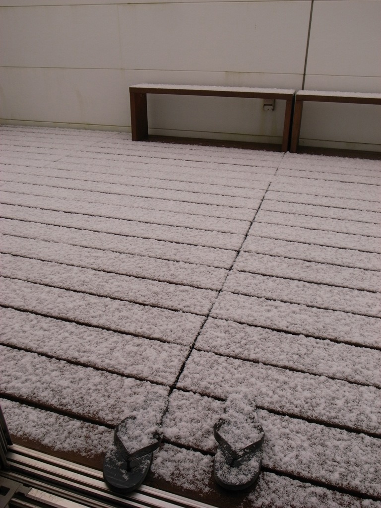 だいぶ冷え込んで。