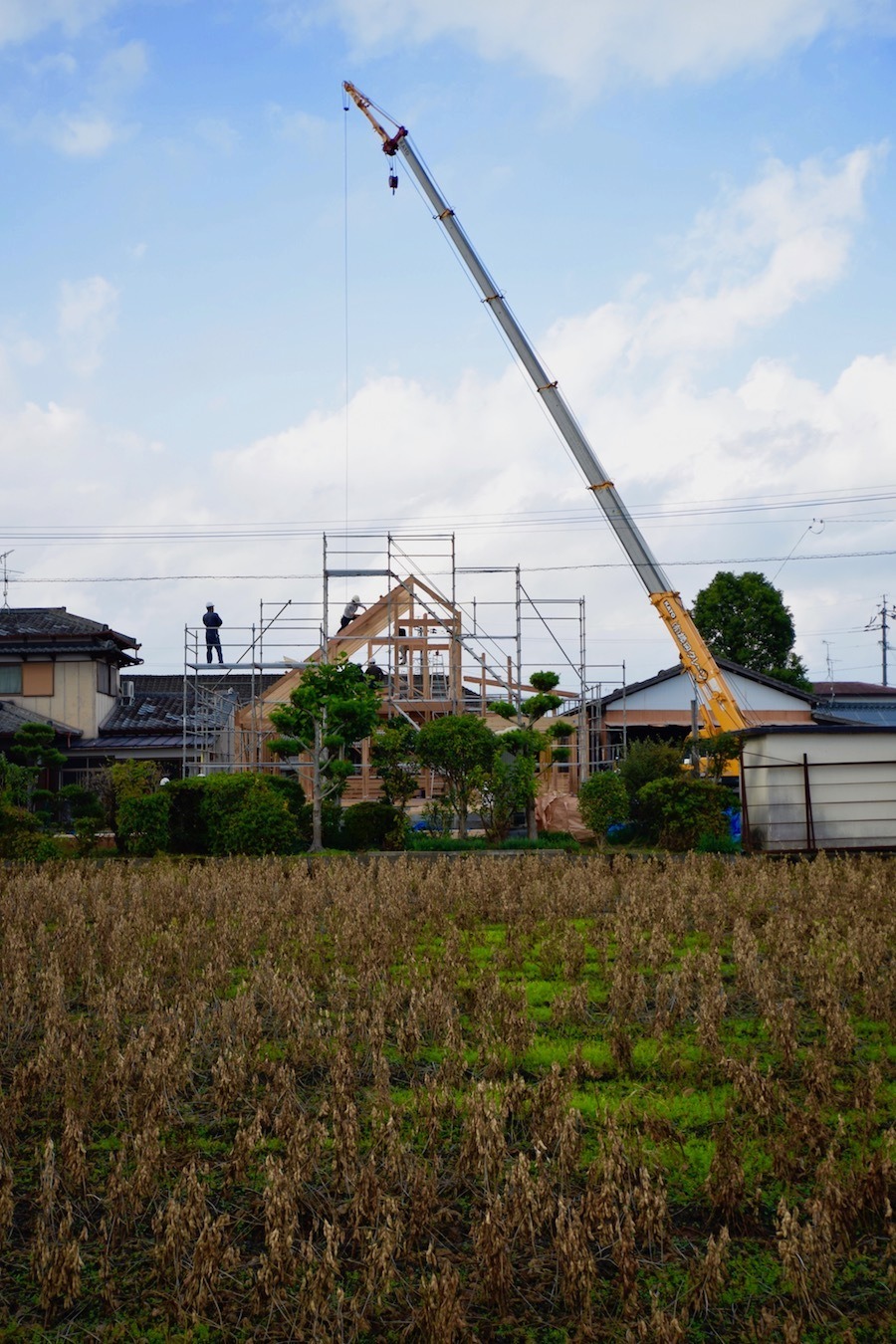 藍いろの家のかたち。