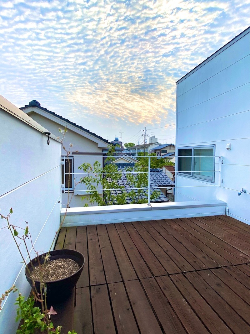 鱗雲と社会性。