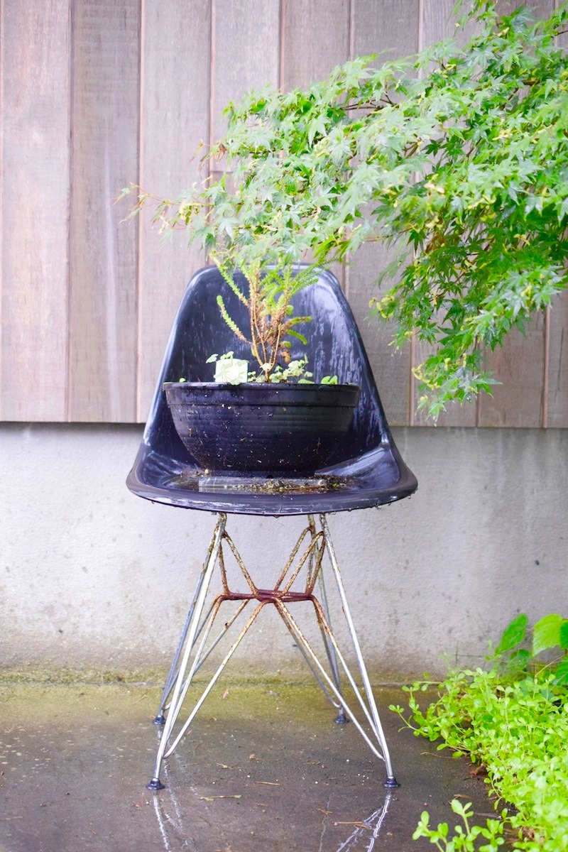 しとしと雨降り。