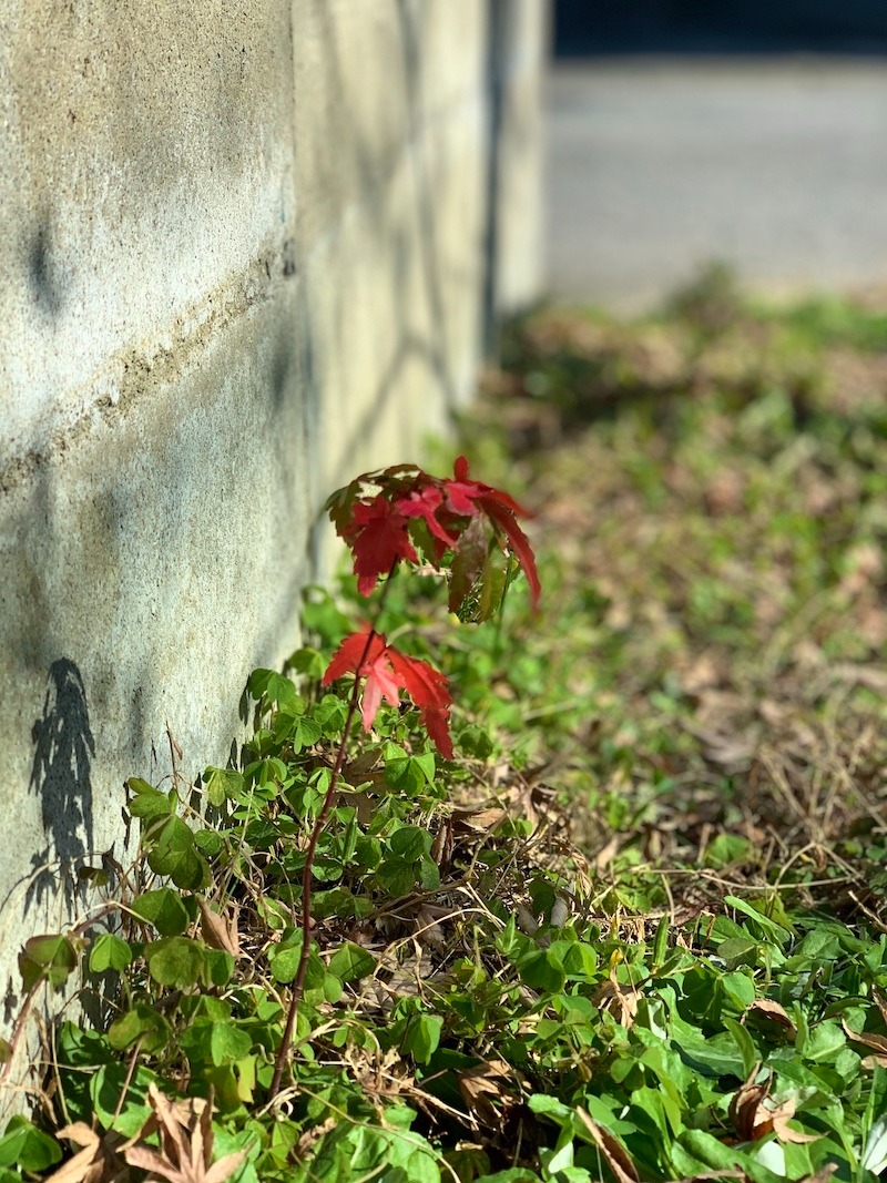 2019お世話になりました。