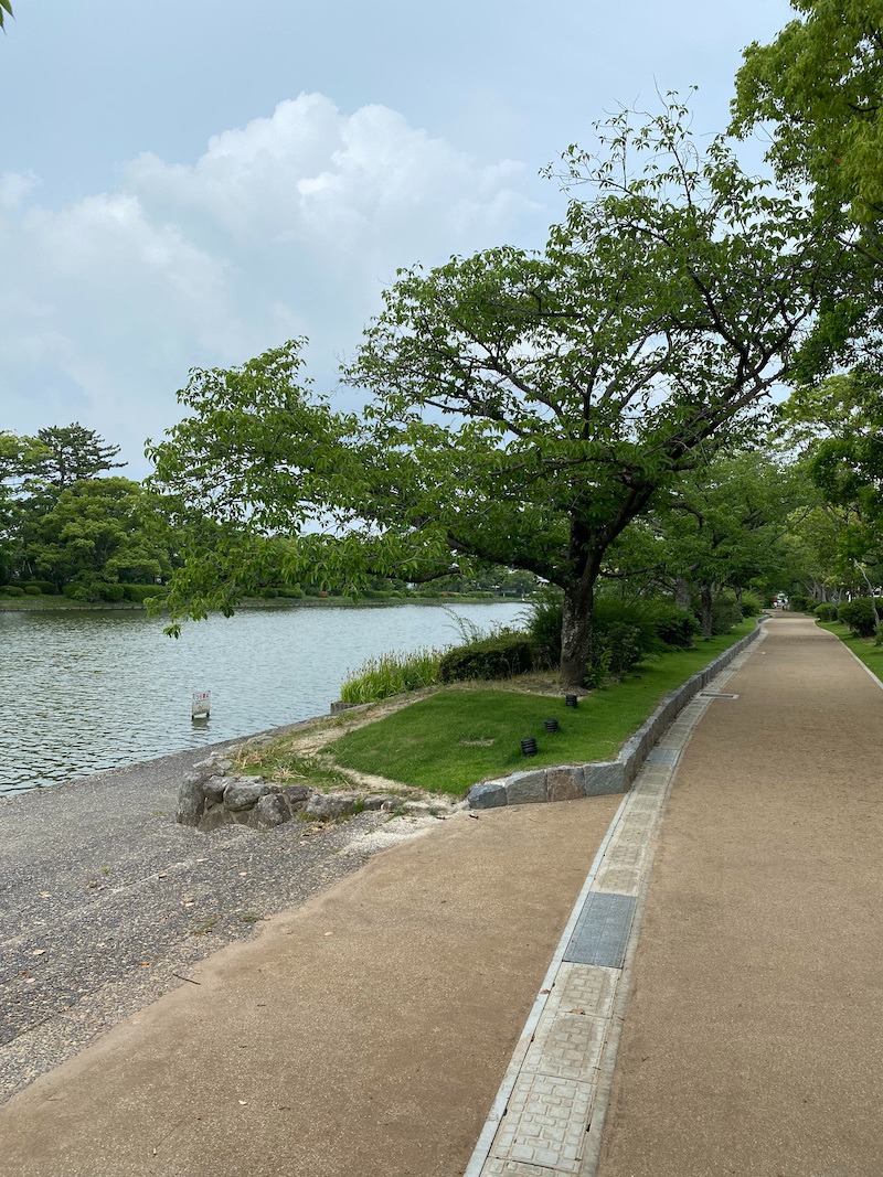 散歩道。
