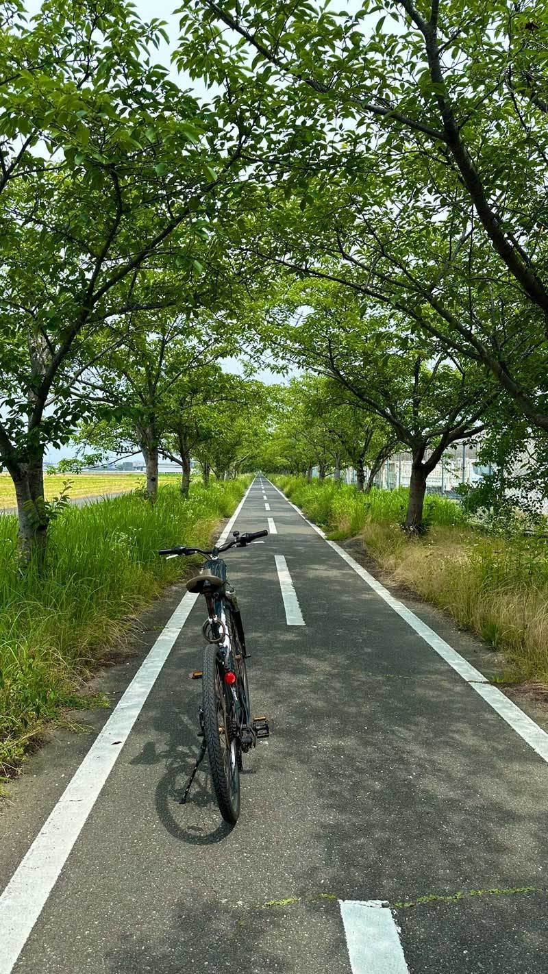 自転車道路のゆるーいライド。